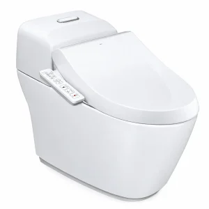 Bồn cầu 1 khối+nắp rửa INAX AC-1032+CW-H18VN
