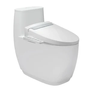 Bồn cầu 1 khối kết hợp nắp điện tử INAX AC-1052+CW-H20VN