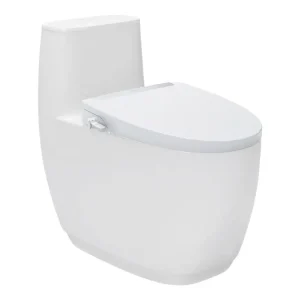 Bồn cầu 1 khối kèm nắp rửa AC-1052+CW-S32VN