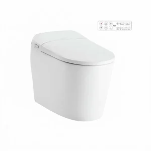 Bồn cầu điện tử American Standard WP-70DY