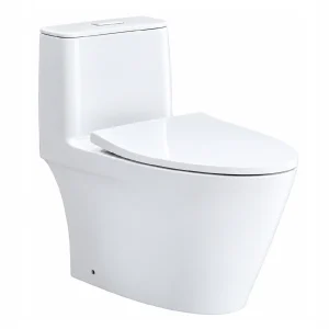 Bồn cầu 1 khối INAX AC-922VN