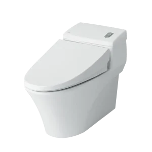 Bồn cầu một khối INAX AC-1008VRN