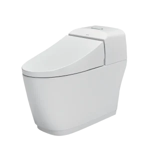 Bồn cầu một khối INAX AC-1032VN