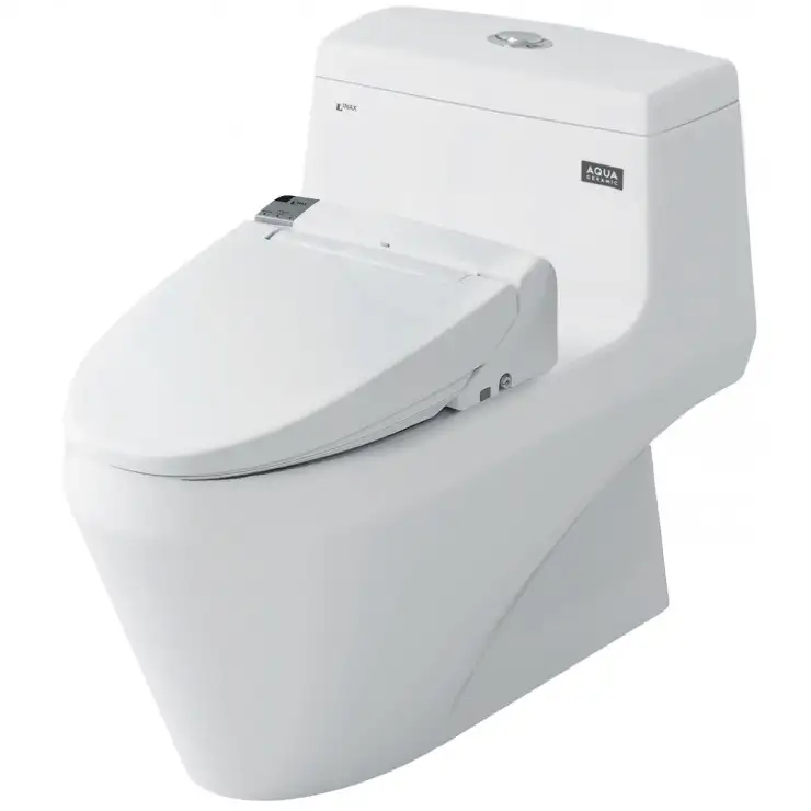 Bồn cầu 1 khối+nắp rửa INAX AC-1035+CW-KA22AVN