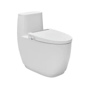 Bồn cầu 1 khối kèm nắp rửa AC-1052+CW-S32VN