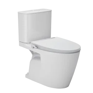 Bồn cầu 2 khối kèm nắp rửa AC-602+CW-S32VN