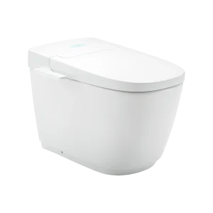 Bồn cầu điện tử INAX AC-816VN