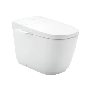 Bồn cầu điện tử INAX AC-816VN