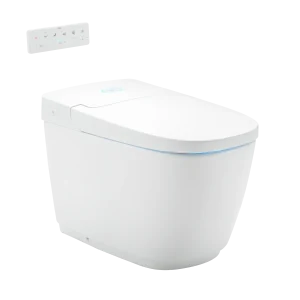 Bồn cầu điện tử INAX -AC-819VN