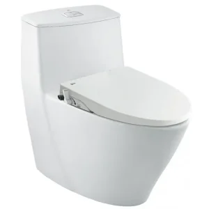 Bồn cầu 1 khối kèm nắp rửa AC-919R+CW-S15VN