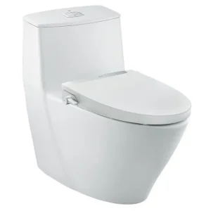 Bồn cầu 1 khối kèm nắp rửa AC-919R+CW-S32VN