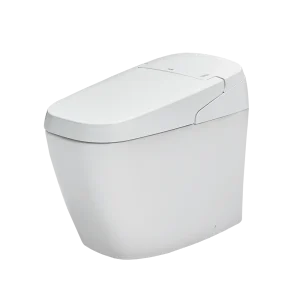 Bồn cầu điện tử INAX AC-G216VN/BW1