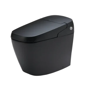 Bồn cầu điện tử INAX AC-G216VN/BKG
