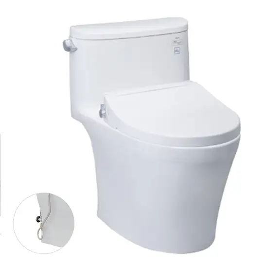 Bồn cầu 1 khối nắp điện tử TOTO MS887RE2