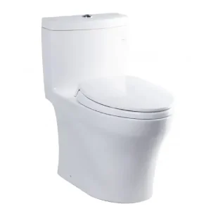 Bồn cầu 1 khối TOTO MS889DRT2