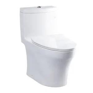Bồn cầu 1 khối TOTO MS889DRT8