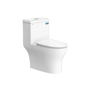 Bồn cầu 1 khối Viglacera V45M