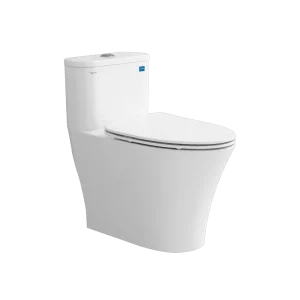 Bồn cầu 1 khối Viglacera V829