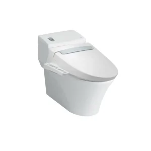 Bồn cầu 1 khối+nắp rửa INAX AC-1008R+CW-H20VN