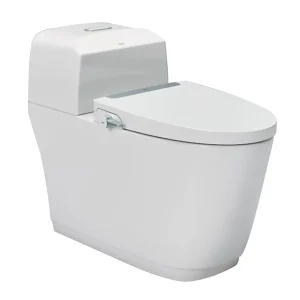Bồn cầu 1 khối kèm nắp rửa AC-1032+CW-S32VN