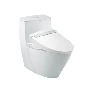 Bồn cầu 1 khối+nắp rửa INAX AC-919R+CW-H20VN